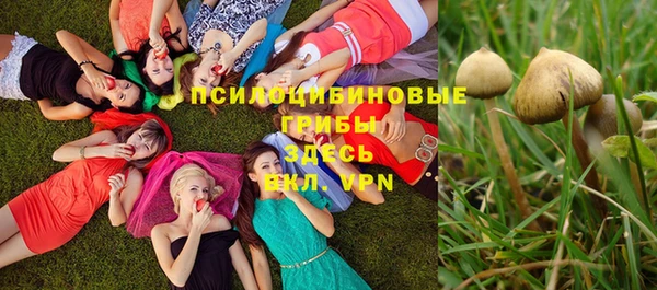 эйфоретик Абдулино