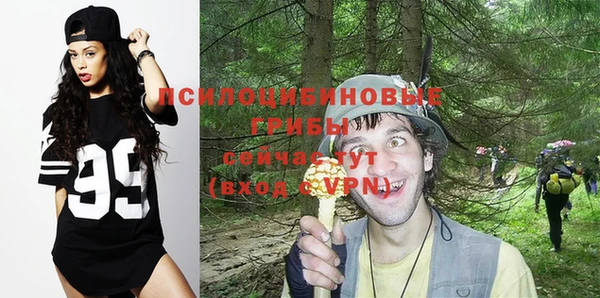 ешки Абаза