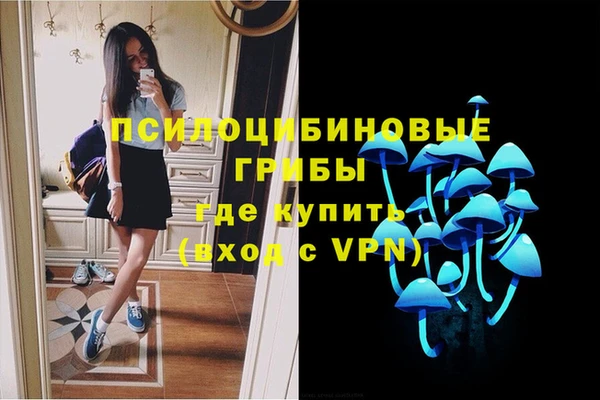 ешки Абаза