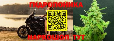 не бодяженный Моздок