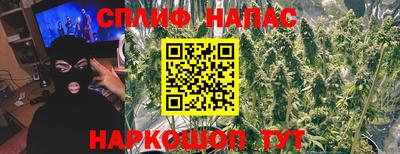 стафф Можга