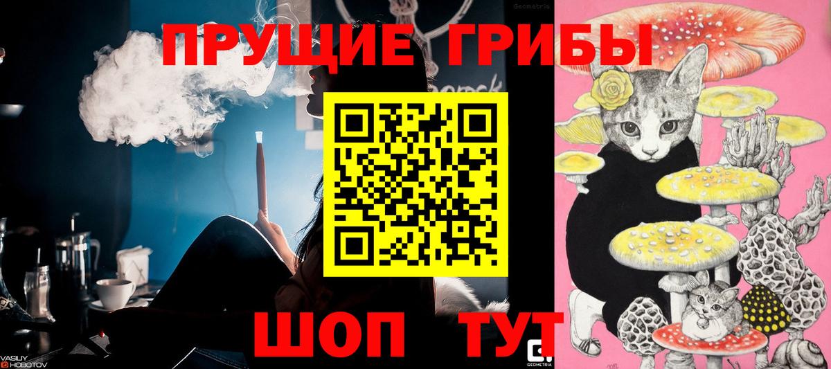 Псилоцибиновые грибы Psilocybine cubensis Партизанск
