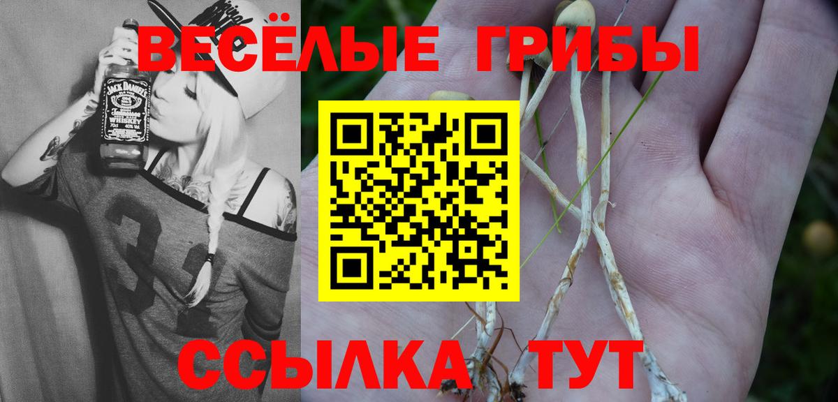 Галлюциногенные грибы мухоморы  Вход с VPN  Галлюциногенные грибы прущие грибы  Партизанск 